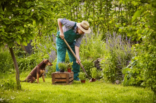 Gardening team assessing a front garden with clipboard