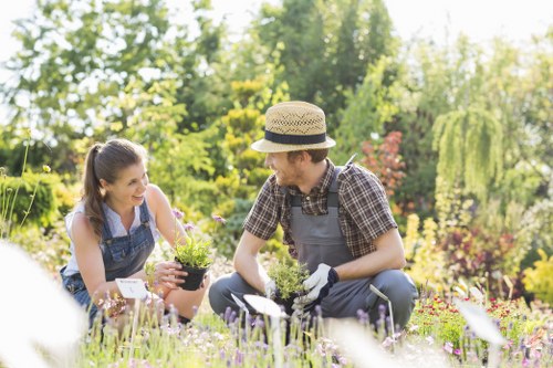 Inspector conducting a supplier audit on a landscaping site