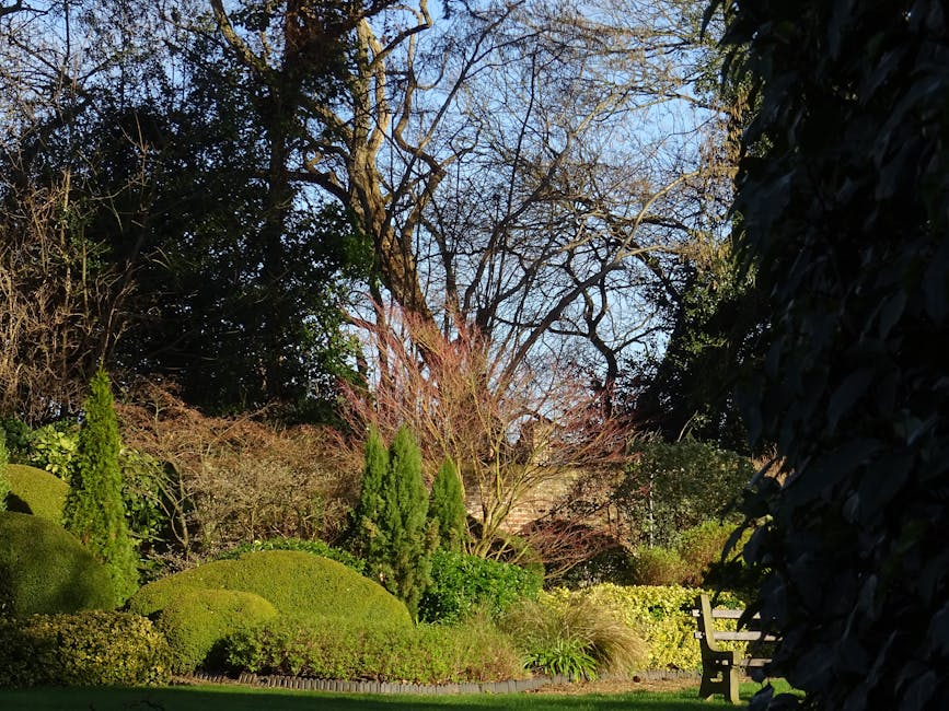 A serene garden scene showing a well-maintained lawn with lush, trimmed grass bordered by a variety of shaped shrubs and neatly pruned hedges. Tall, narrow evergreen trees are positioned towards the l